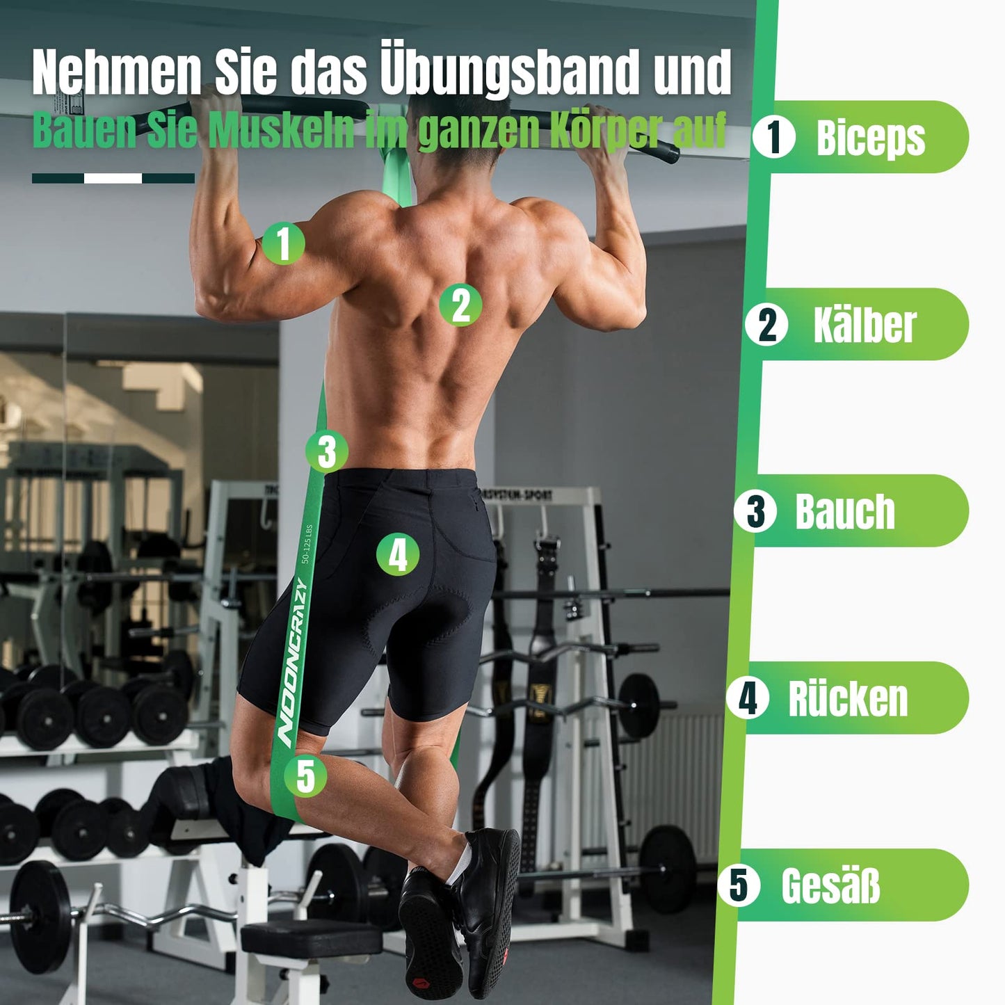 Widerstandsbänder, verschiedene Stufen mit Türanker und Griffen, Fitnessbänder für Krafttraining, Training, Physiotherapie, Yoga, für Männer und Frauen