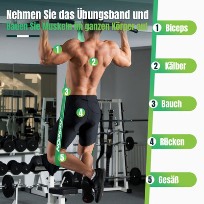 Widerstandsbänder, verschiedene Stufen mit Türanker und Griffen, Fitnessbänder für Krafttraining, Training, Physiotherapie, Yoga, für Männer und Frauen